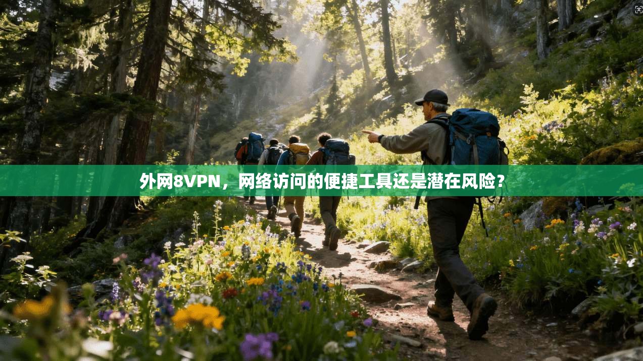 外网8VPN，网络访问的便捷工具还是潜在风险？