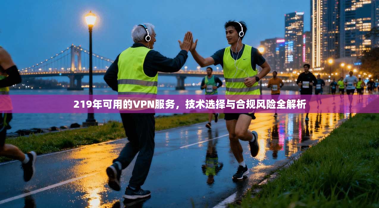 219年可用的VPN服务，技术选择与合规风险全解析