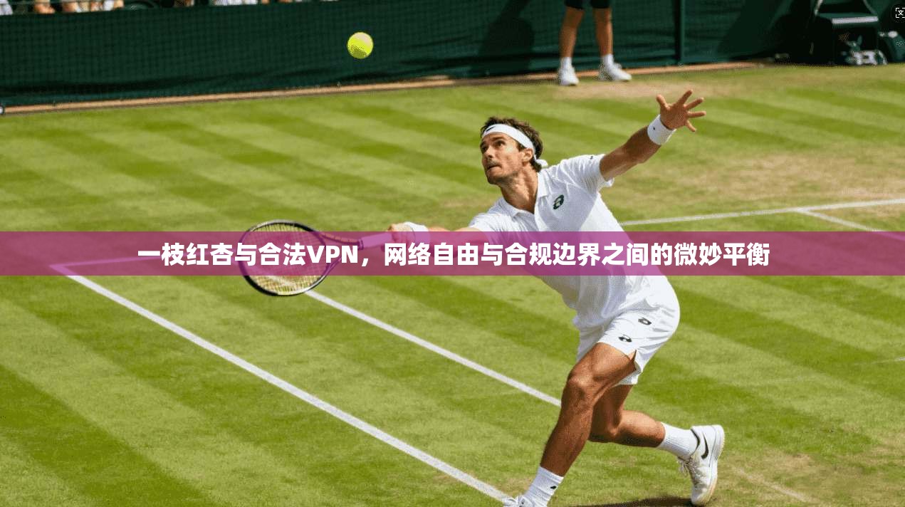 一枝红杏与合法VPN，网络自由与合规边界之间的微妙平衡