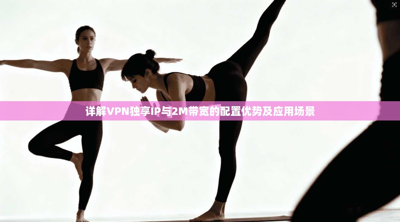 详解VPN独享IP与2M带宽的配置优势及应用场景