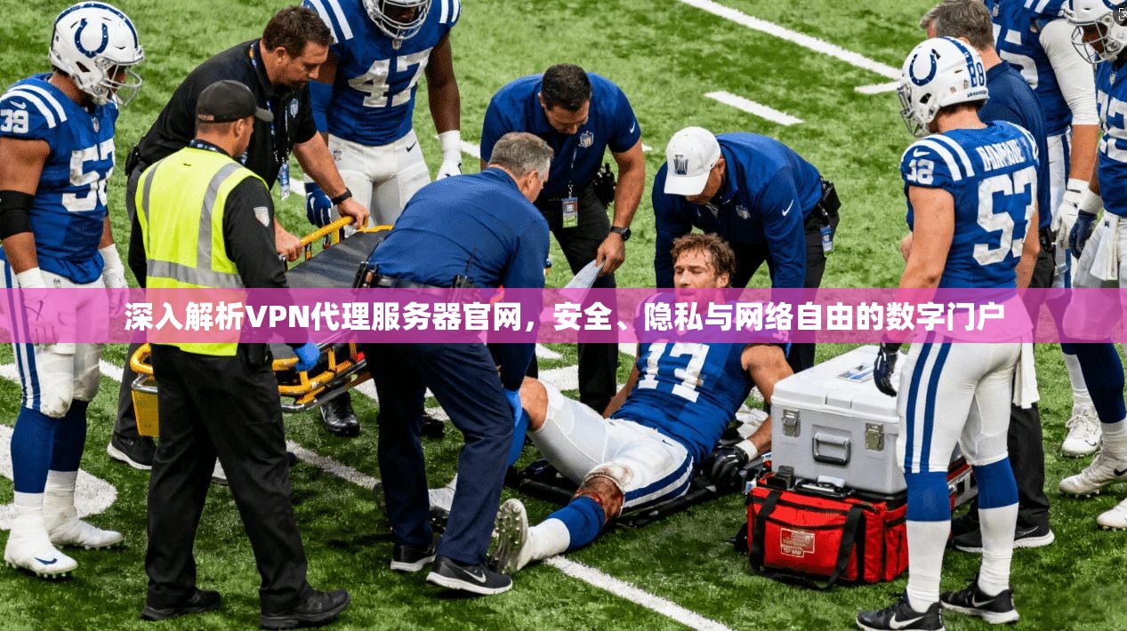 深入解析VPN代理服务器官网，安全、隐私与网络自由的数字门户