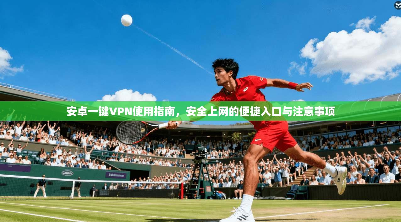 安卓一键VPN使用指南,安全上网的便捷入口与注意事项