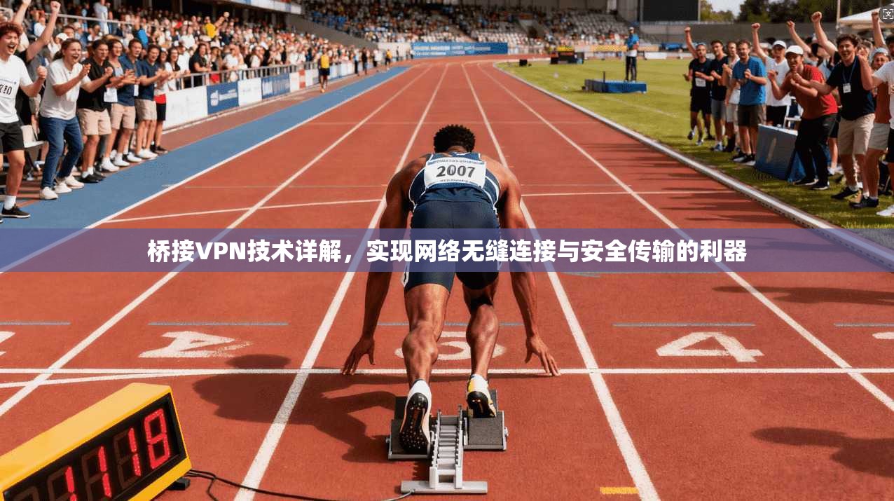 桥接VPN技术详解，实现网络无缝连接与安全传输的利器
