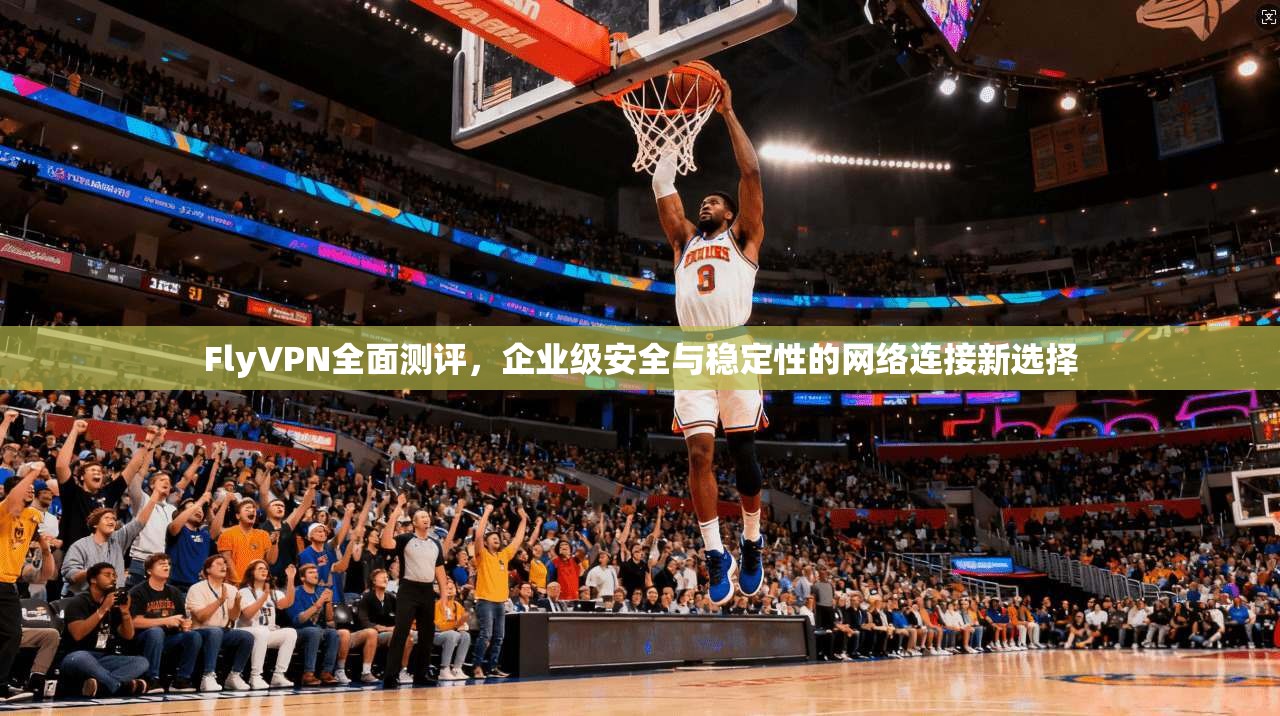 FlyVPN全面测评，企业级安全与稳定性的网络连接新选择