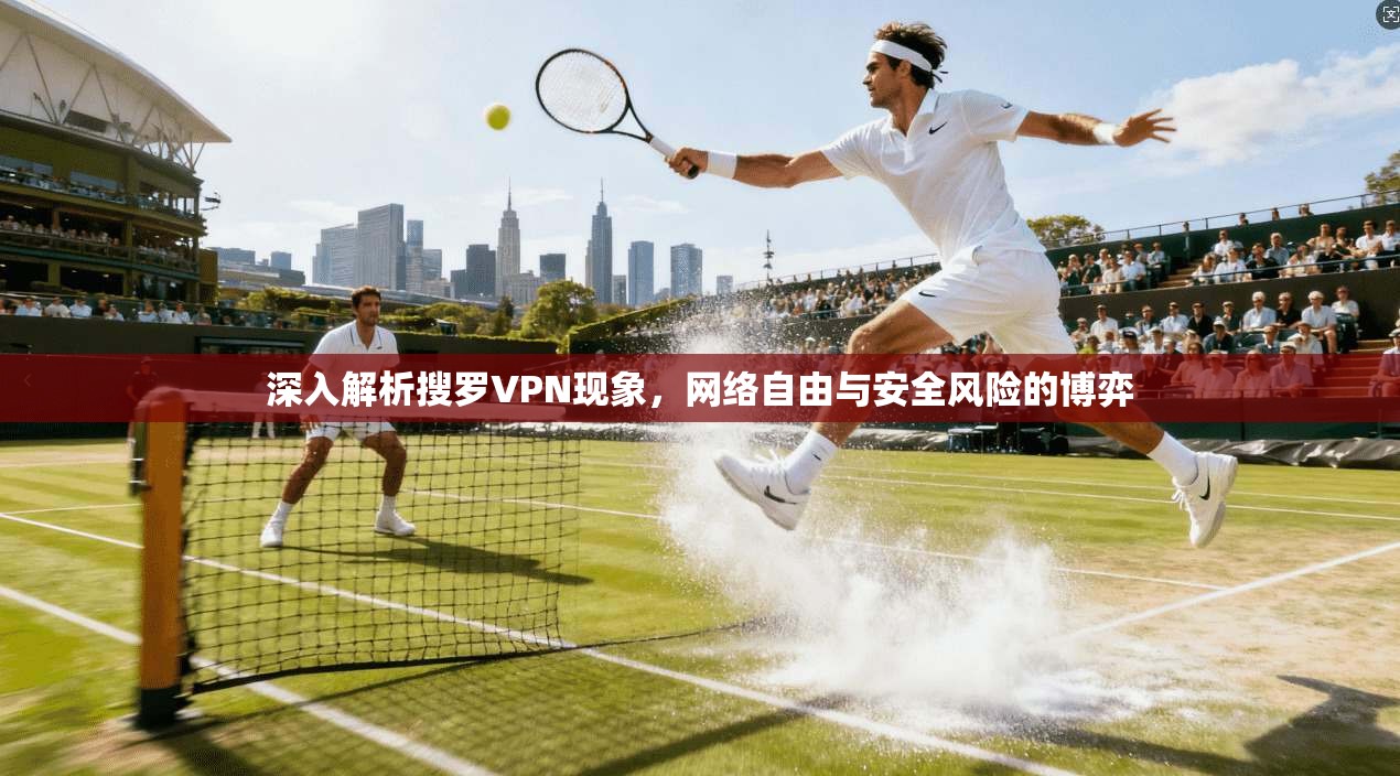 深入解析搜罗VPN现象，网络自由与安全风险的博弈