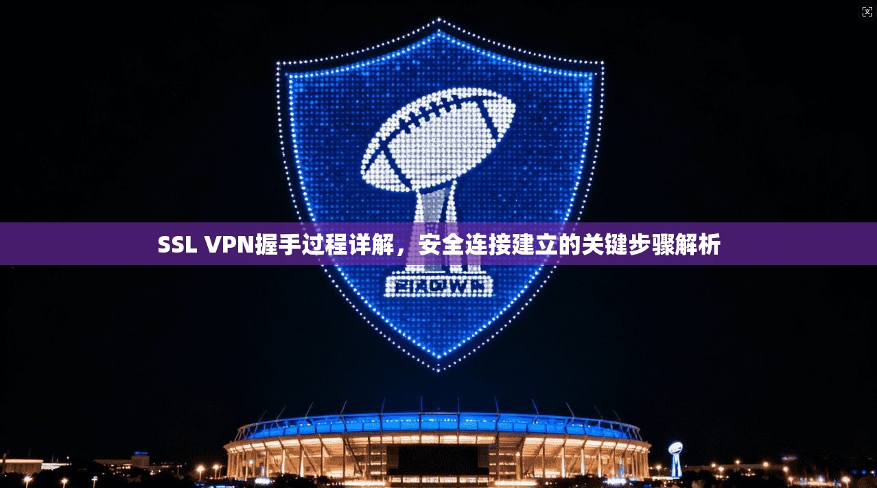 SSL VPN握手过程详解，安全连接建立的关键步骤解析
