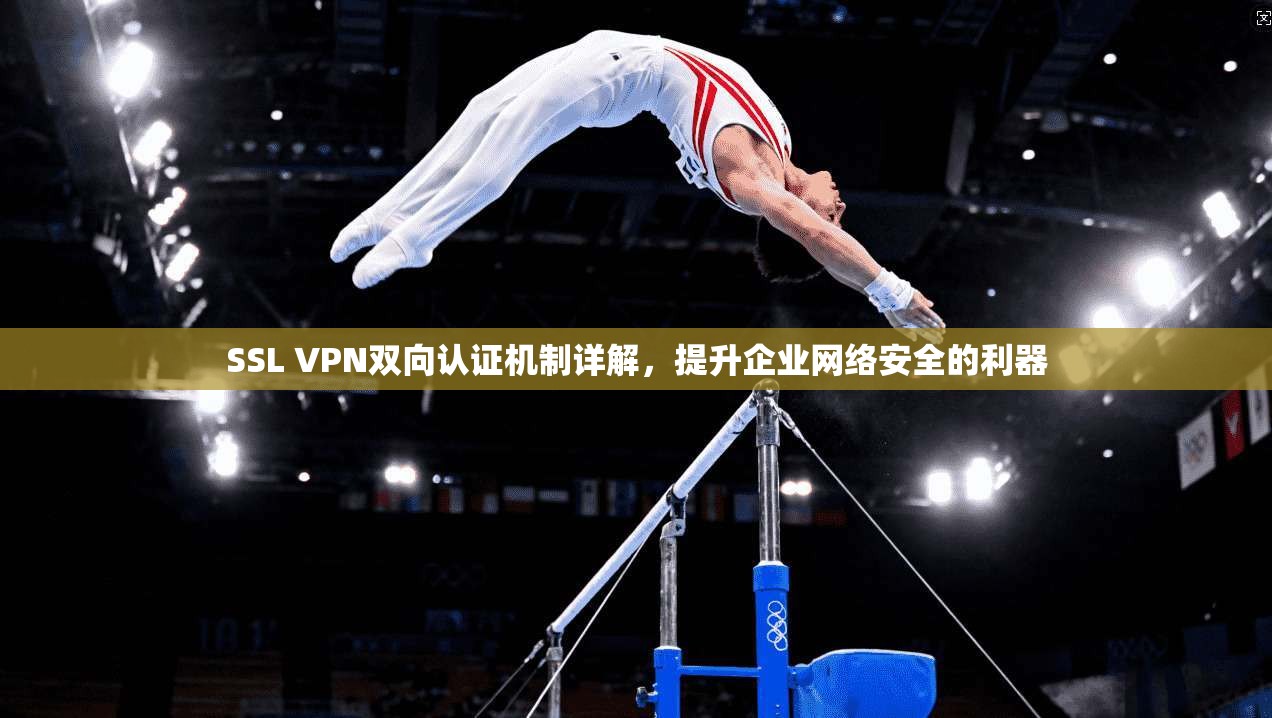 SSL VPN双向认证机制详解，提升企业网络安全的利器