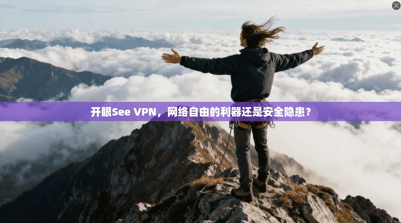 开眼See VPN,网络自由的利器还是安全隐患? 开眼See VPN,网络自由的利器还是安全隐患?