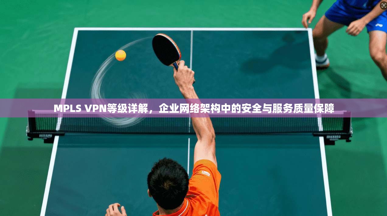 MPLS VPN等级详解，企业网络架构中的安全与服务质量保障