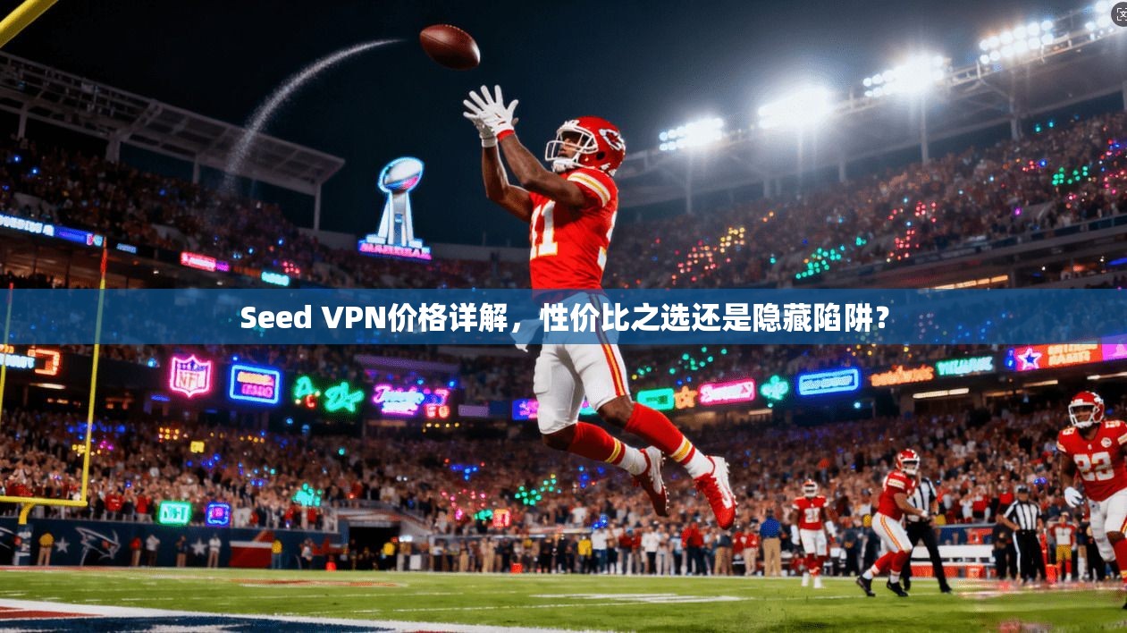 Seed VPN价格详解，性价比之选还是隐藏陷阱？