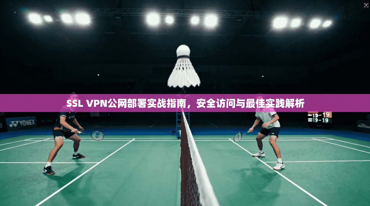 SSL VPN公网部署实战指南,安全访问与最佳实践解析 SSL VPN公网部署实战指南,安全访问与最佳实践解析