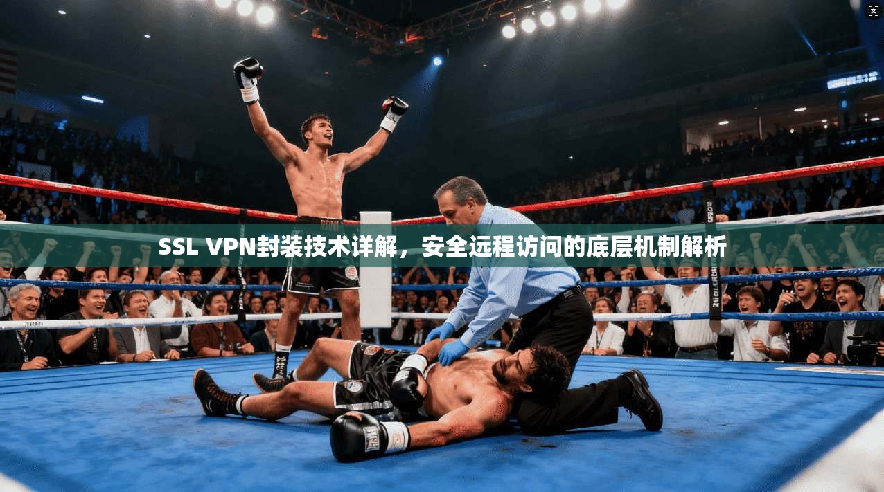 SSL VPN封装技术详解，安全远程访问的底层机制解析