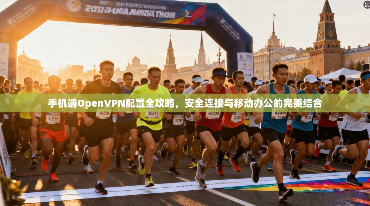 手机端OpenVPN配置全攻略，安全连接与移动办公的完美结合