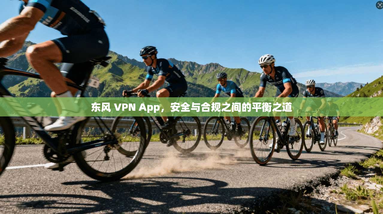 东风 VPN App，安全与合规之间的平衡之道