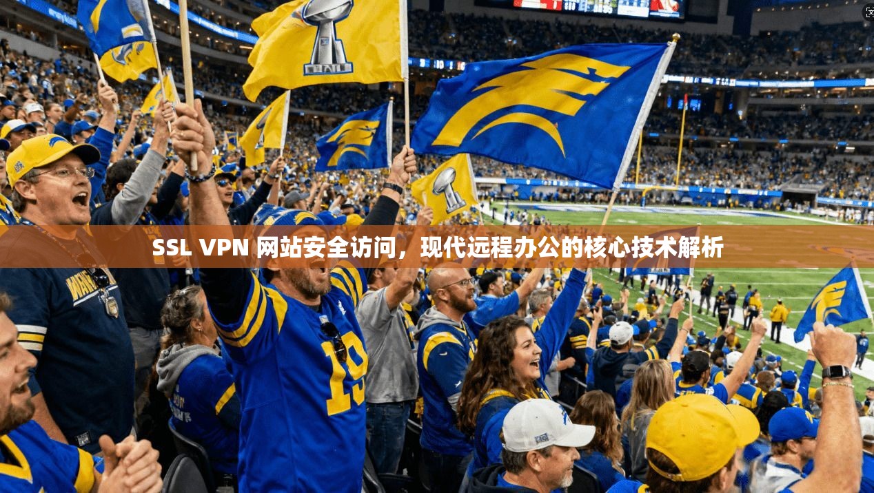 SSL VPN 网站安全访问，现代远程办公的核心技术解析