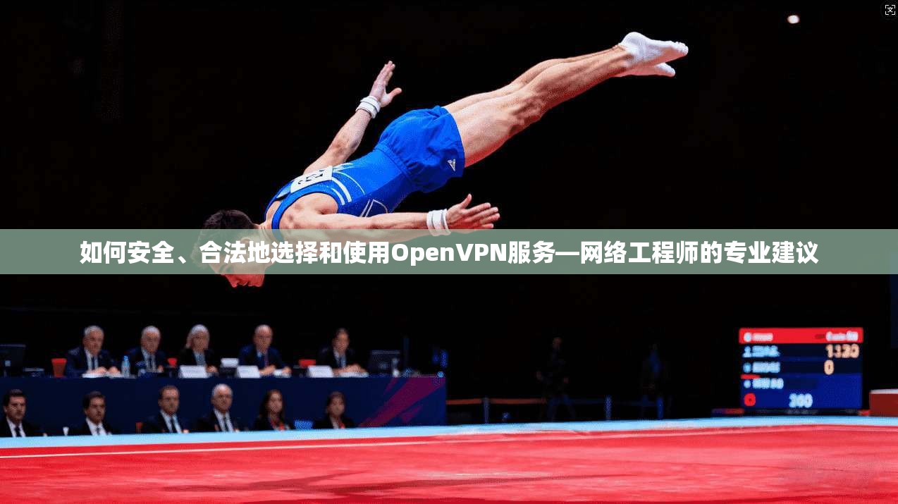 如何安全、合法地选择和使用OpenVPN服务—网络工程师的专业建议 如何安全、合法地选择和使用OpenVPN服务—网络工程师的专业建议