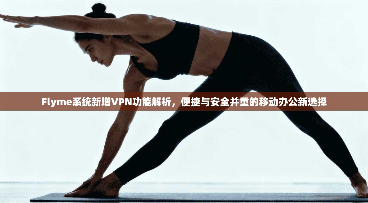 Flyme系统新增VPN功能解析，便捷与安全并重的移动办公新选择