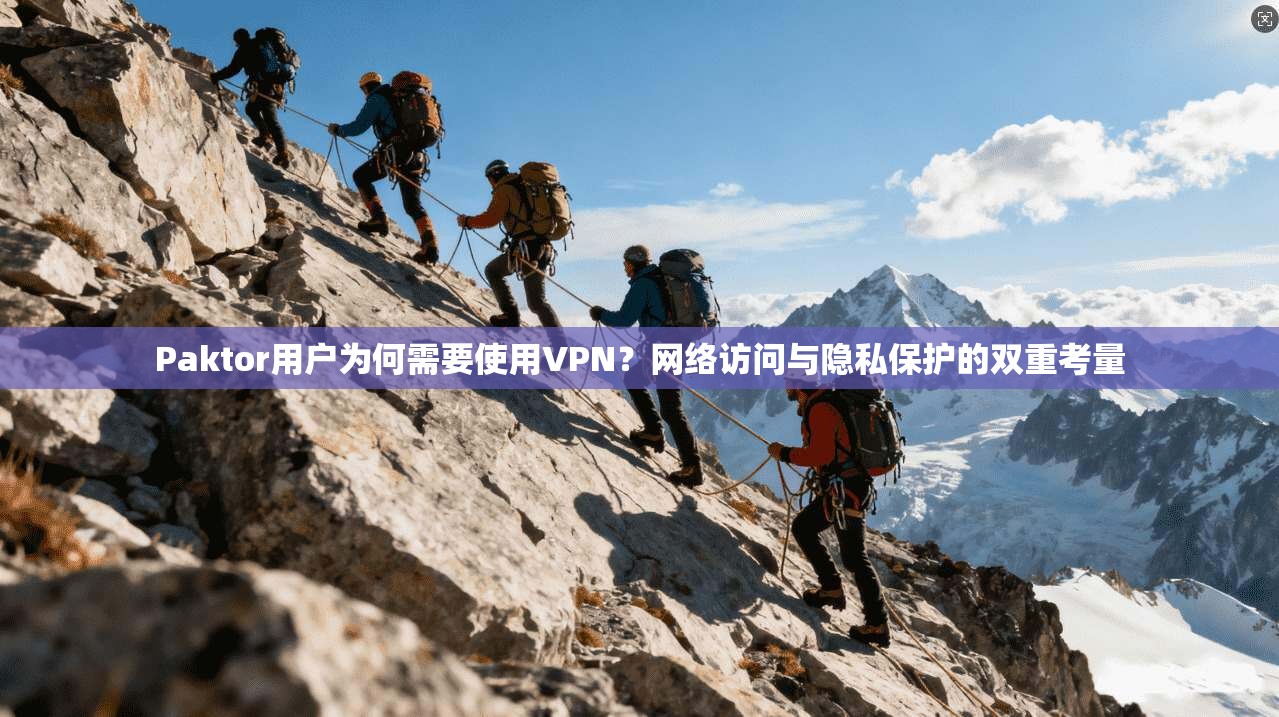 Paktor用户为何需要使用VPN？网络访问与隐私保护的双重考量
