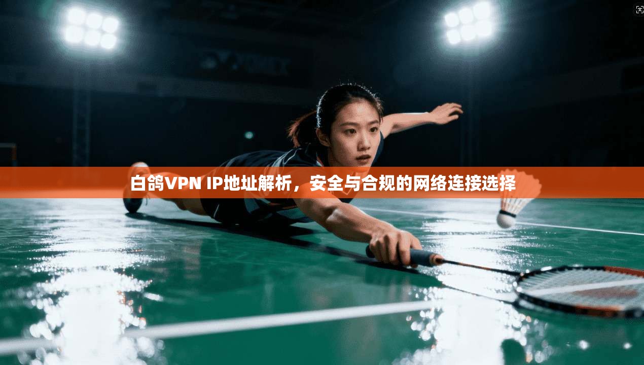 白鸽VPN IP地址解析，安全与合规的网络连接选择
