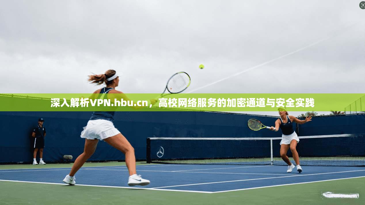 深入解析VPN.hbu.cn，高校网络服务的加密通道与安全实践