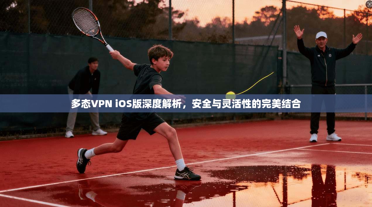 多态VPN iOS版深度解析，安全与灵活性的完美结合