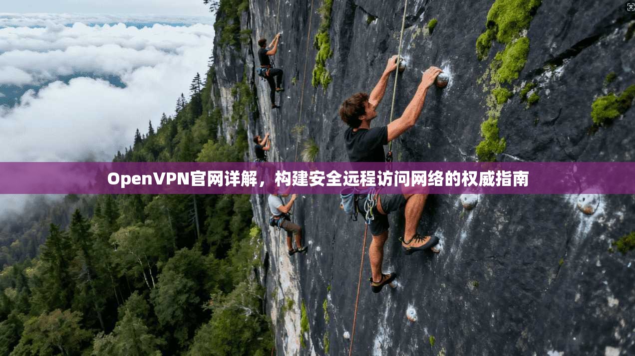 OpenVPN官网详解,构建安全远程访问网络的权威指南 OpenVPN官网详解,构建安全远程访问网络的权威指南