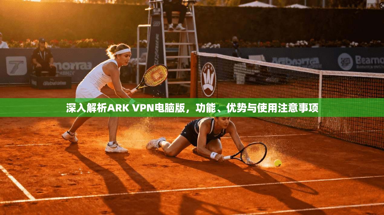 深入解析ARK VPN电脑版，功能、优势与使用注意事项