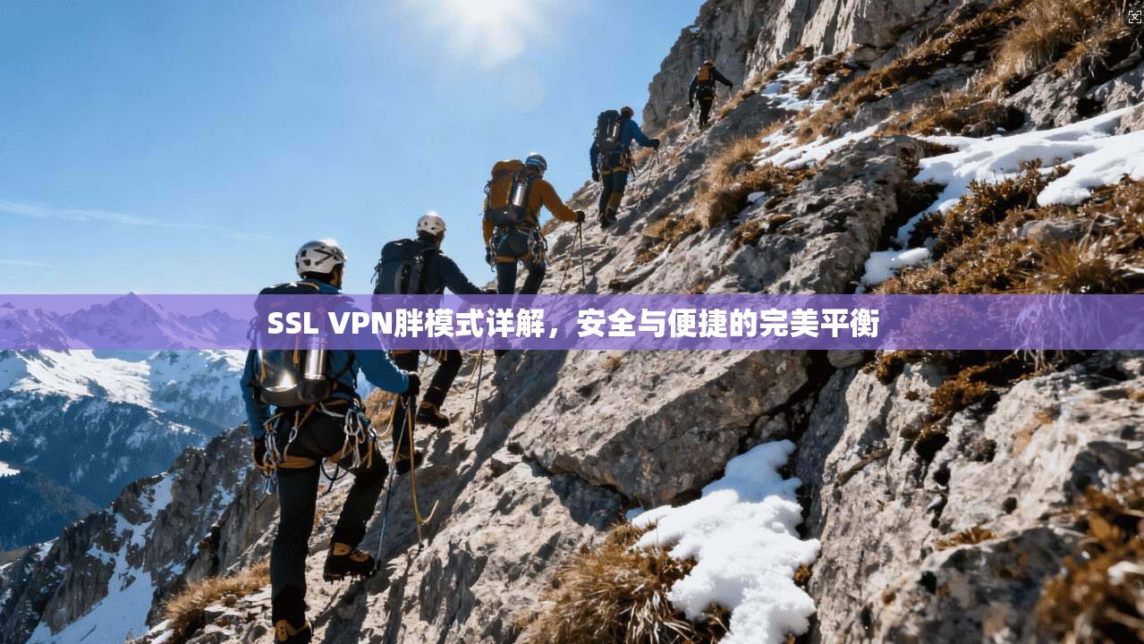 SSL VPN胖模式详解，安全与便捷的完美平衡