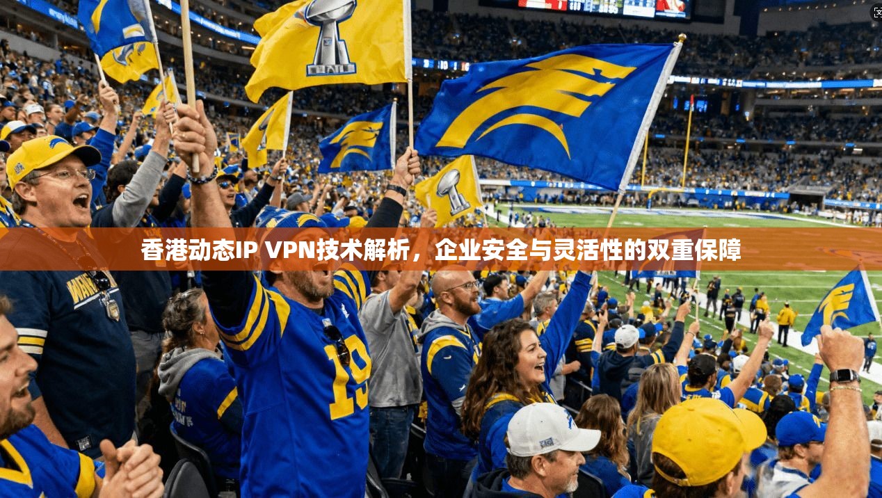 香港动态IP VPN技术解析，企业安全与灵活性的双重保障