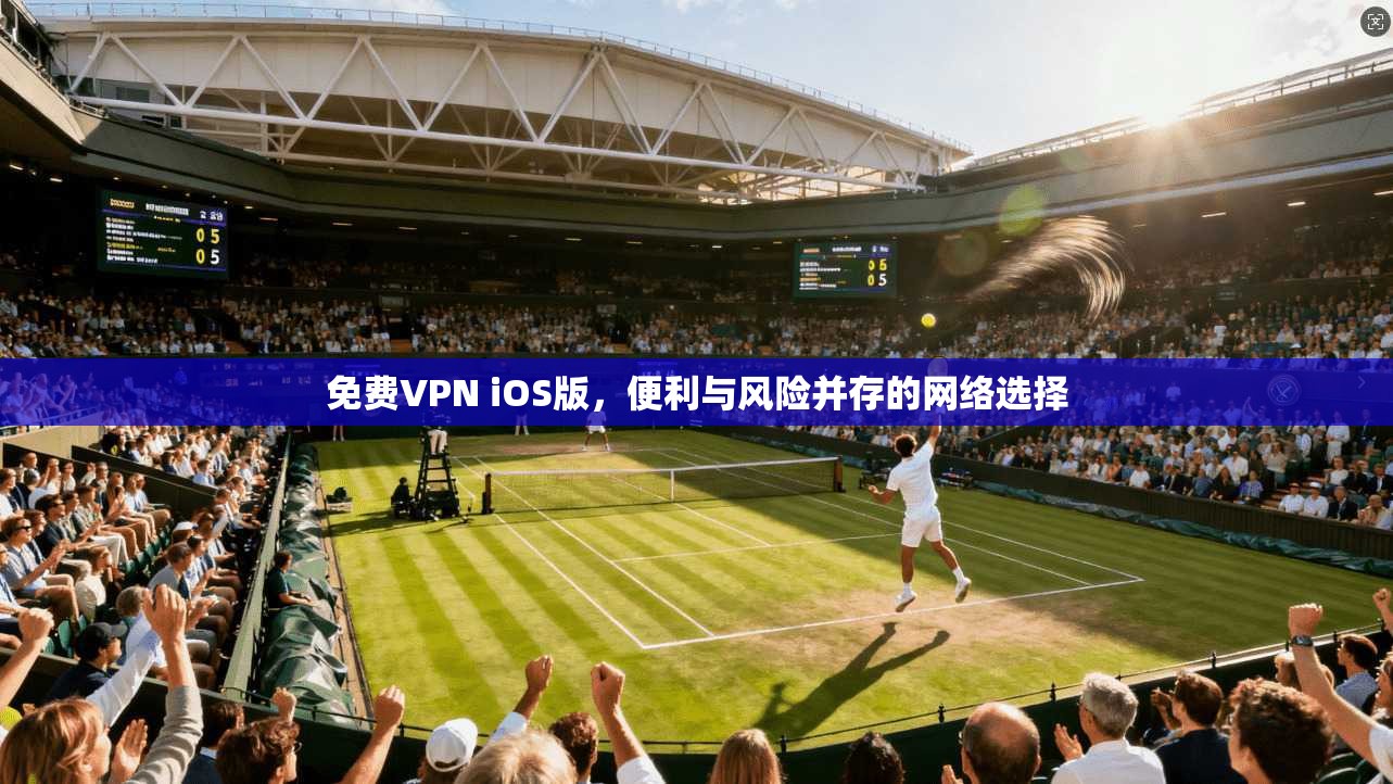 免费VPN iOS版，便利与风险并存的网络选择
