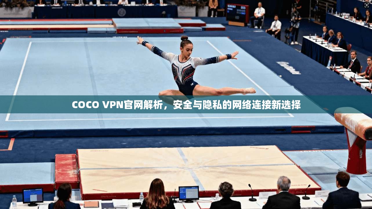 COCO VPN官网解析，安全与隐私的网络连接新选择