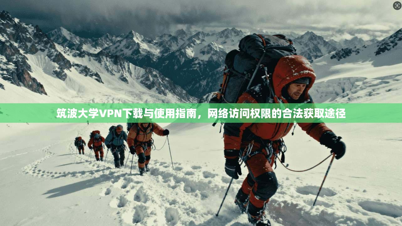 筑波大学VPN下载与使用指南，网络访问权限的合法获取途径