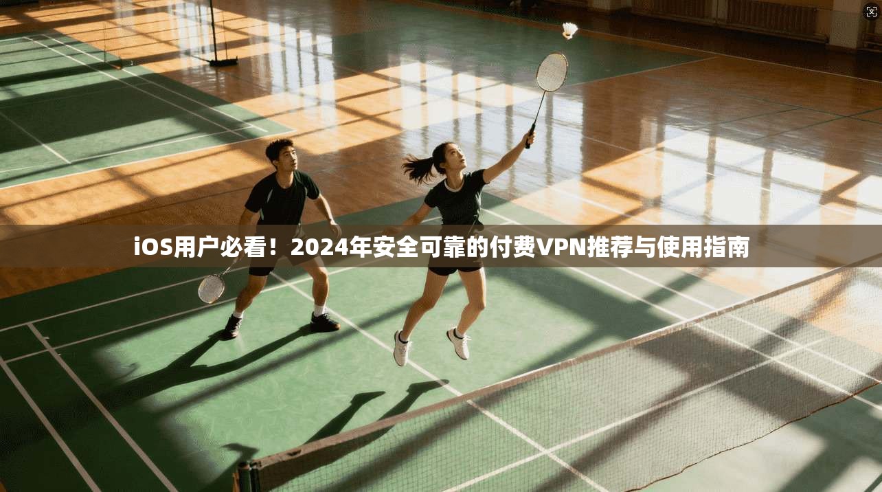 iOS用户必看!2024年安全可靠的付费VPN推荐与使用指南