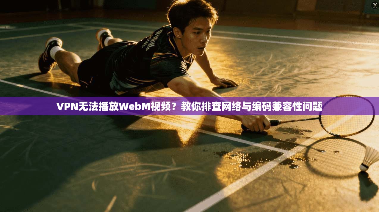 VPN无法播放WebM视频？教你排查网络与编码兼容性问题