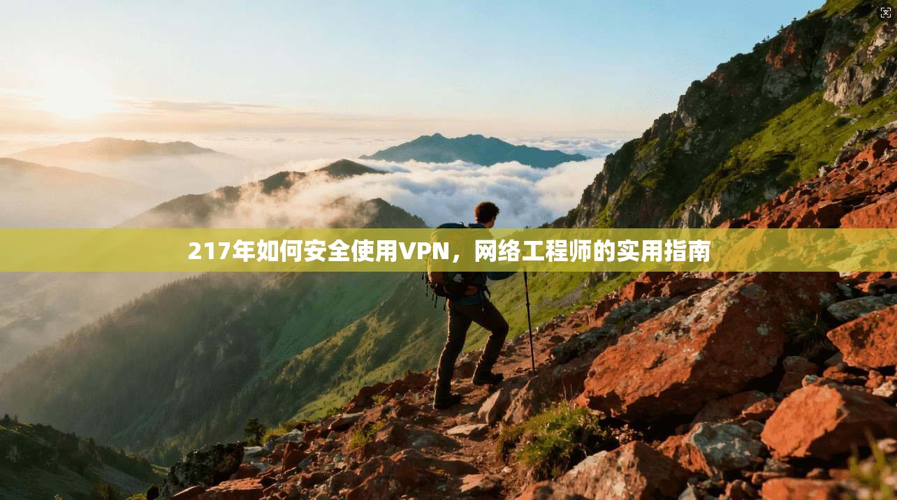217年如何安全使用VPN，网络工程师的实用指南