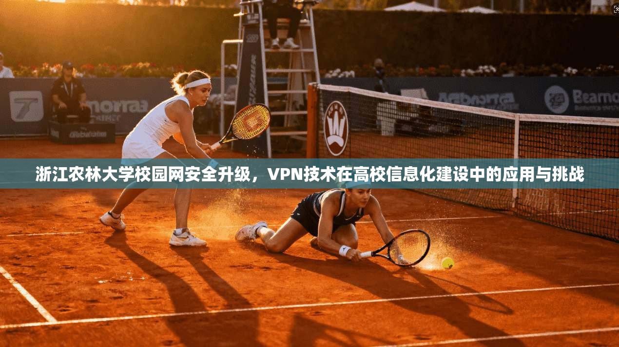 浙江农林大学校园网安全升级，VPN技术在高校信息化建设中的应用与挑战