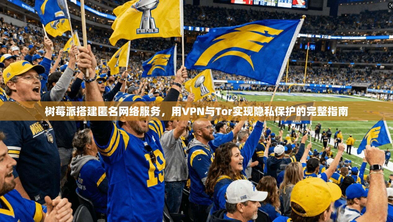 树莓派搭建匿名网络服务，用VPN与Tor实现隐私保护的完整指南