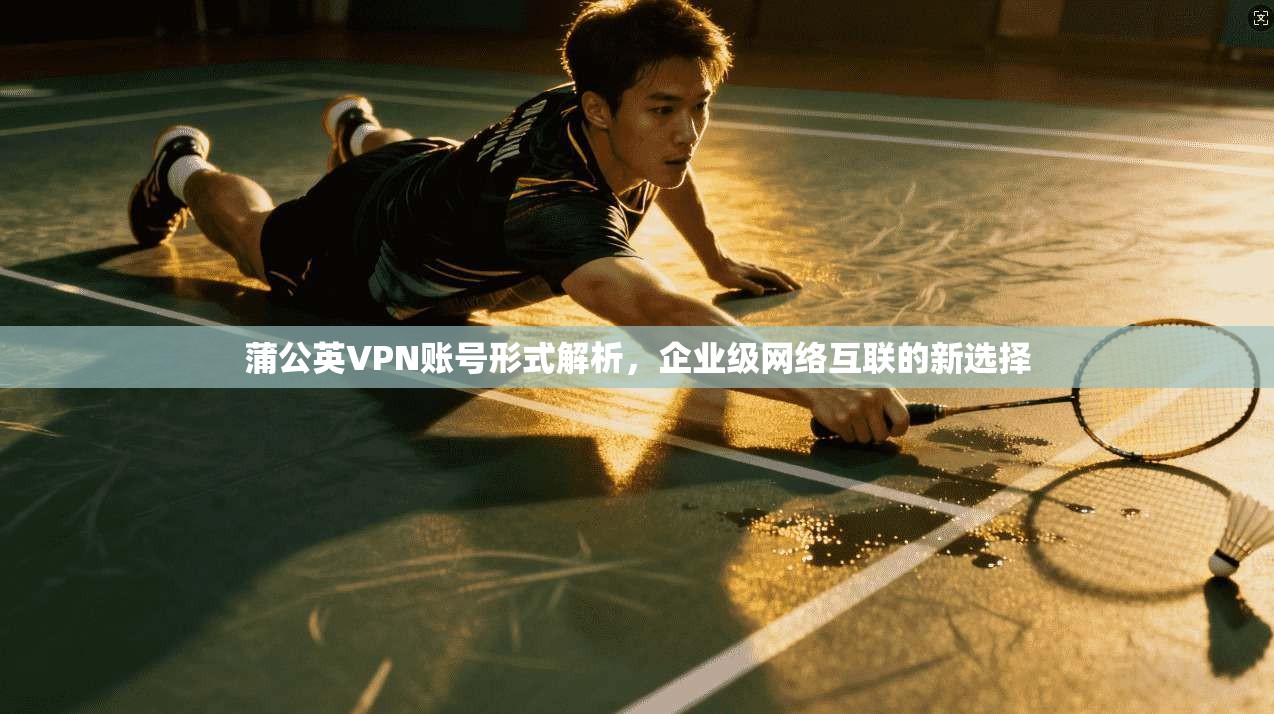 蒲公英VPN账号形式解析，企业级网络互联的新选择