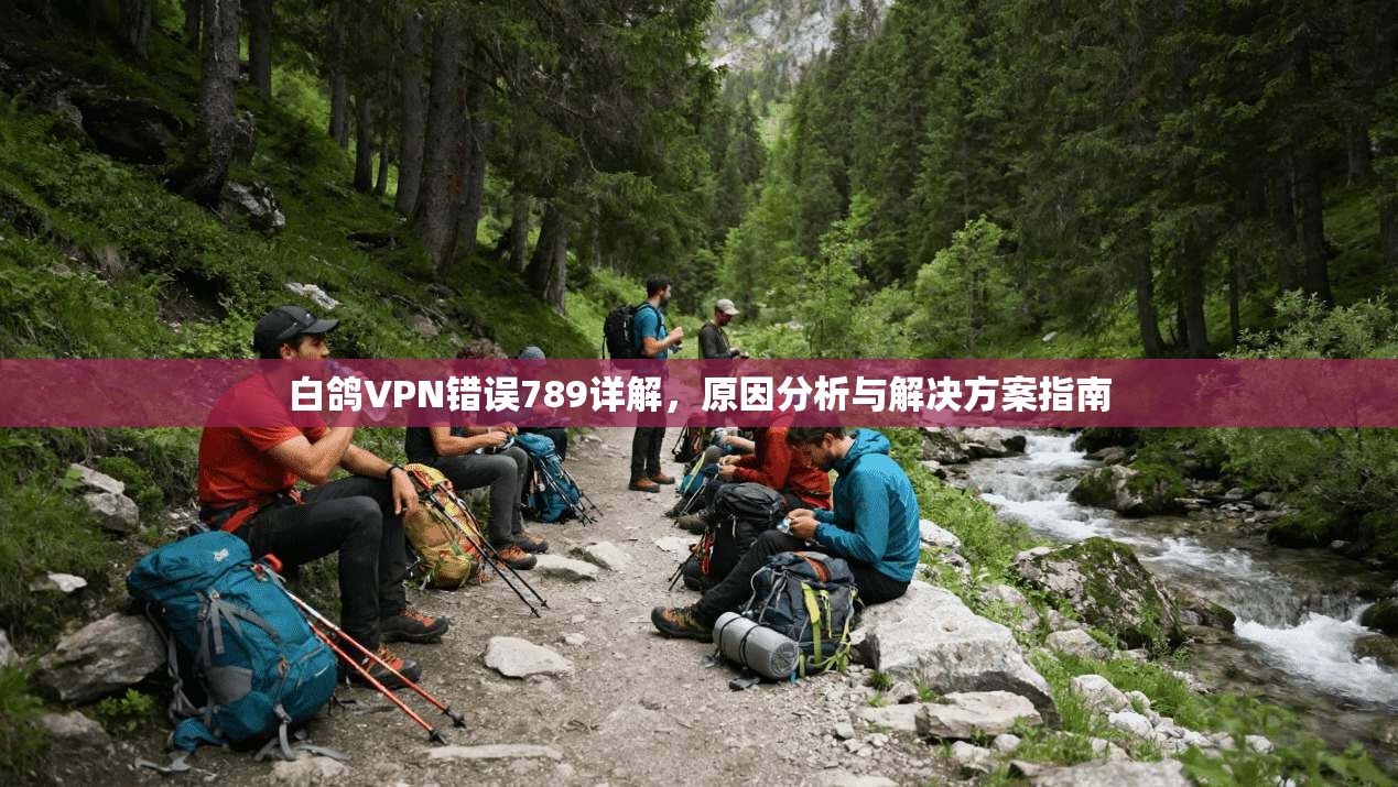 白鸽VPN错误789详解，原因分析与解决方案指南