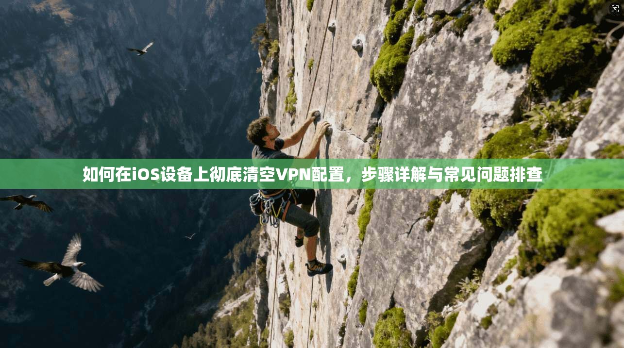 如何在iOS设备上彻底清空VPN配置，步骤详解与常见问题排查