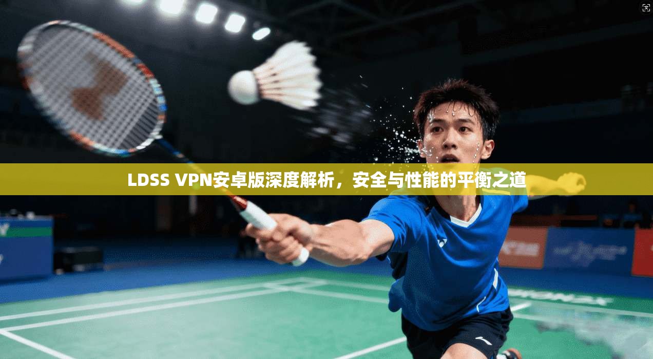 LDSS VPN安卓版深度解析，安全与性能的平衡之道