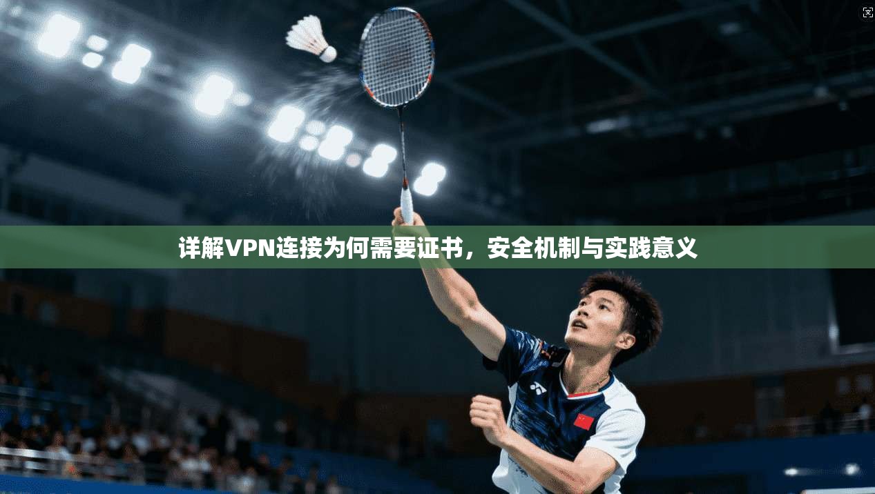 详解VPN连接为何需要证书,安全机制与实践意义