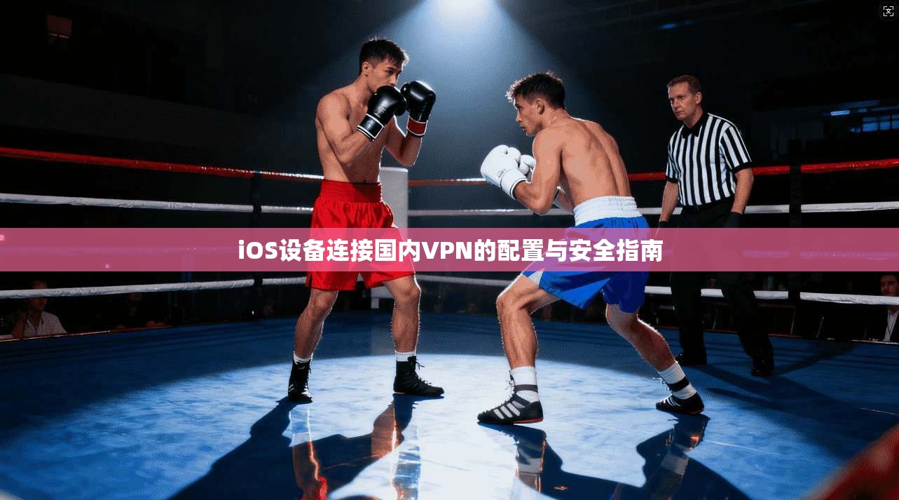 iOS设备连接国内VPN的配置与安全指南