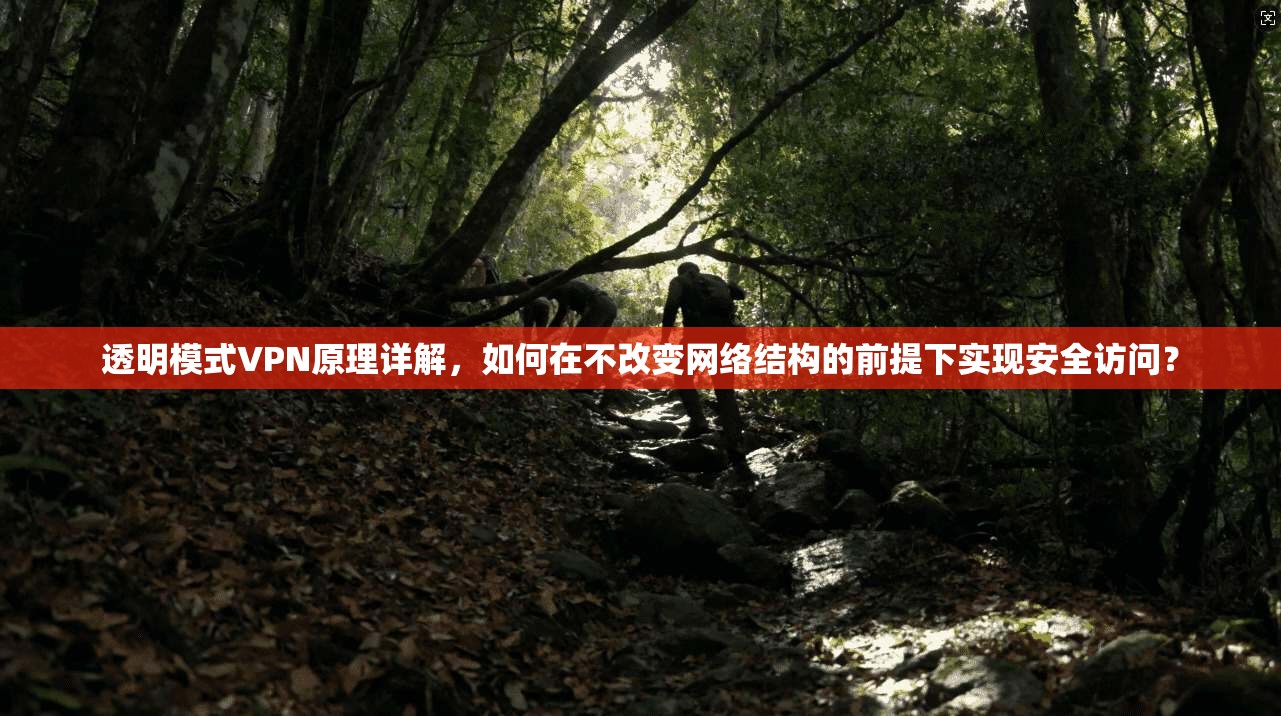 透明模式VPN原理详解,如何在不改变网络结构的前提下实现安全访问?