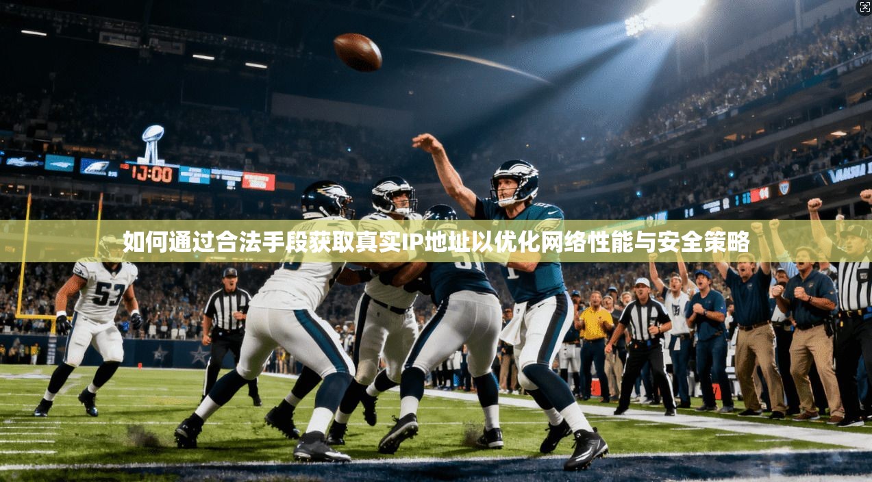 如何通过合法手段获取真实IP地址以优化网络性能与安全策略