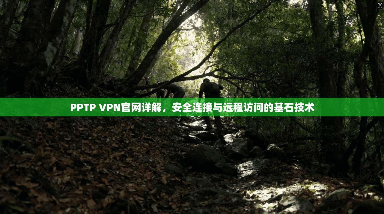 PPTP VPN官网详解,安全连接与远程访问的基石技术