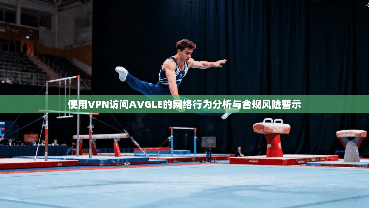 使用VPN访问AVGLE的网络行为分析与合规风险警示