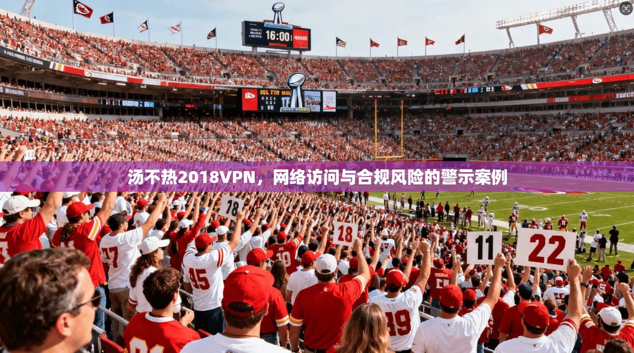 汤不热2018VPN,网络访问与合规风险的警示案例