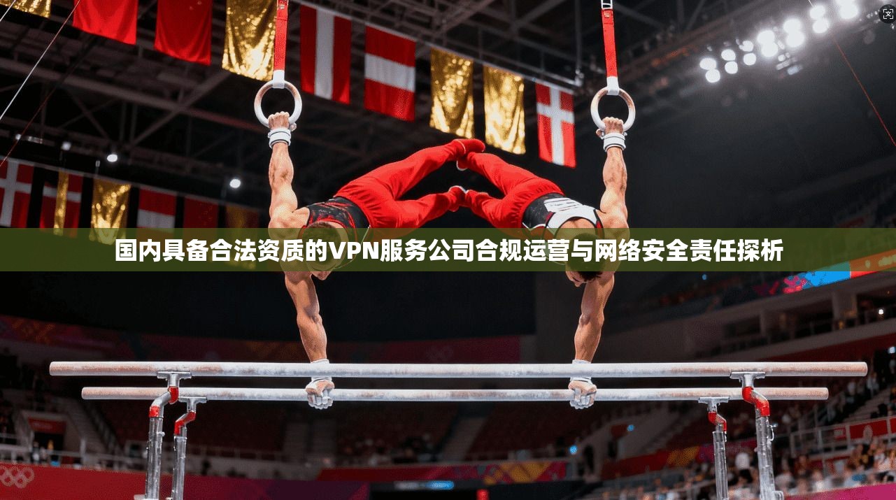 国内具备合法资质的VPN服务公司合规运营与网络安全责任探析