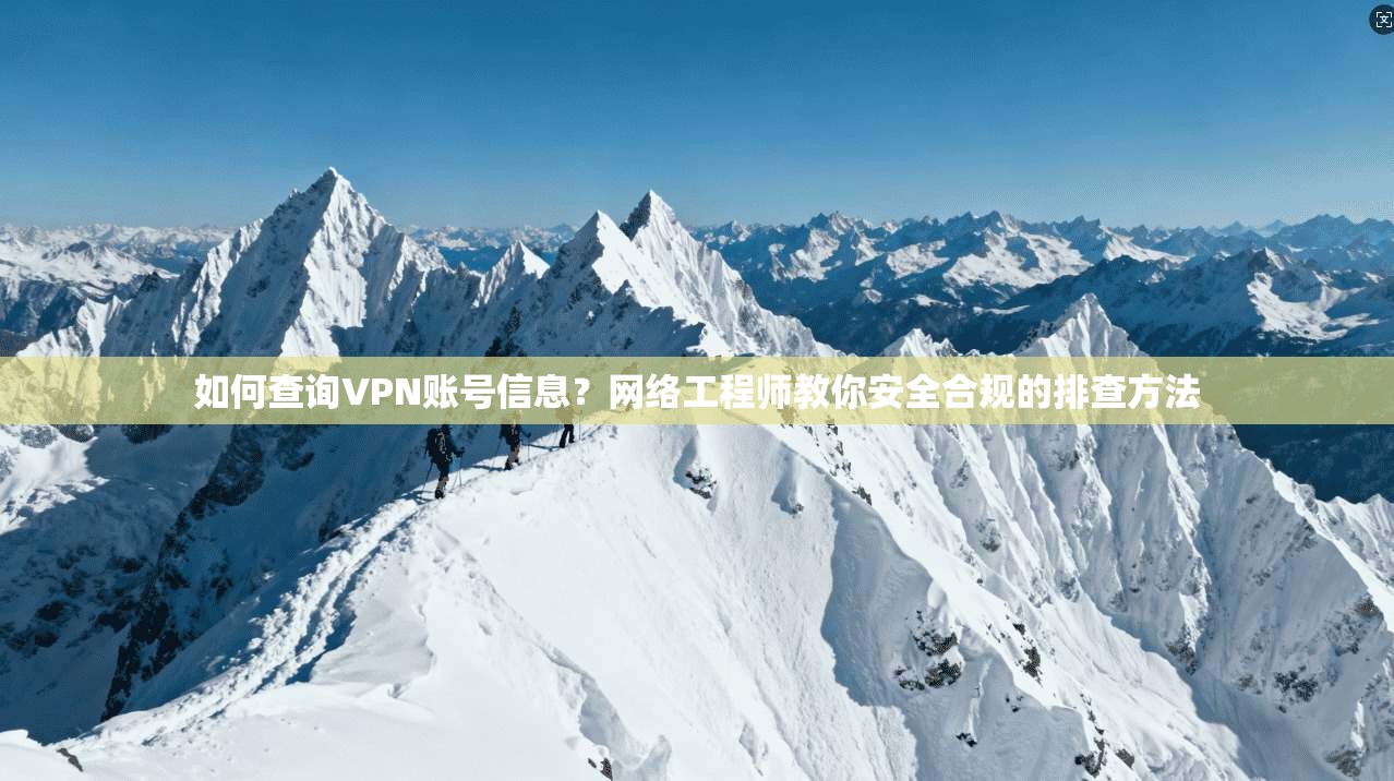 如何查询VPN账号信息？网络工程师教你安全合规的排查方法